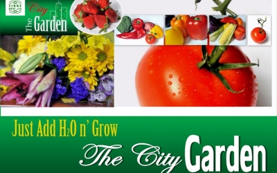 HortiDaily Reports FibreDust Product Launch of “The City Garden”