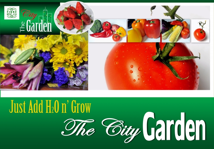 HortiDaily Reports FibreDust Product Launch of “The City Garden”