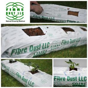 coir grow bags for hydroponic vegetable production