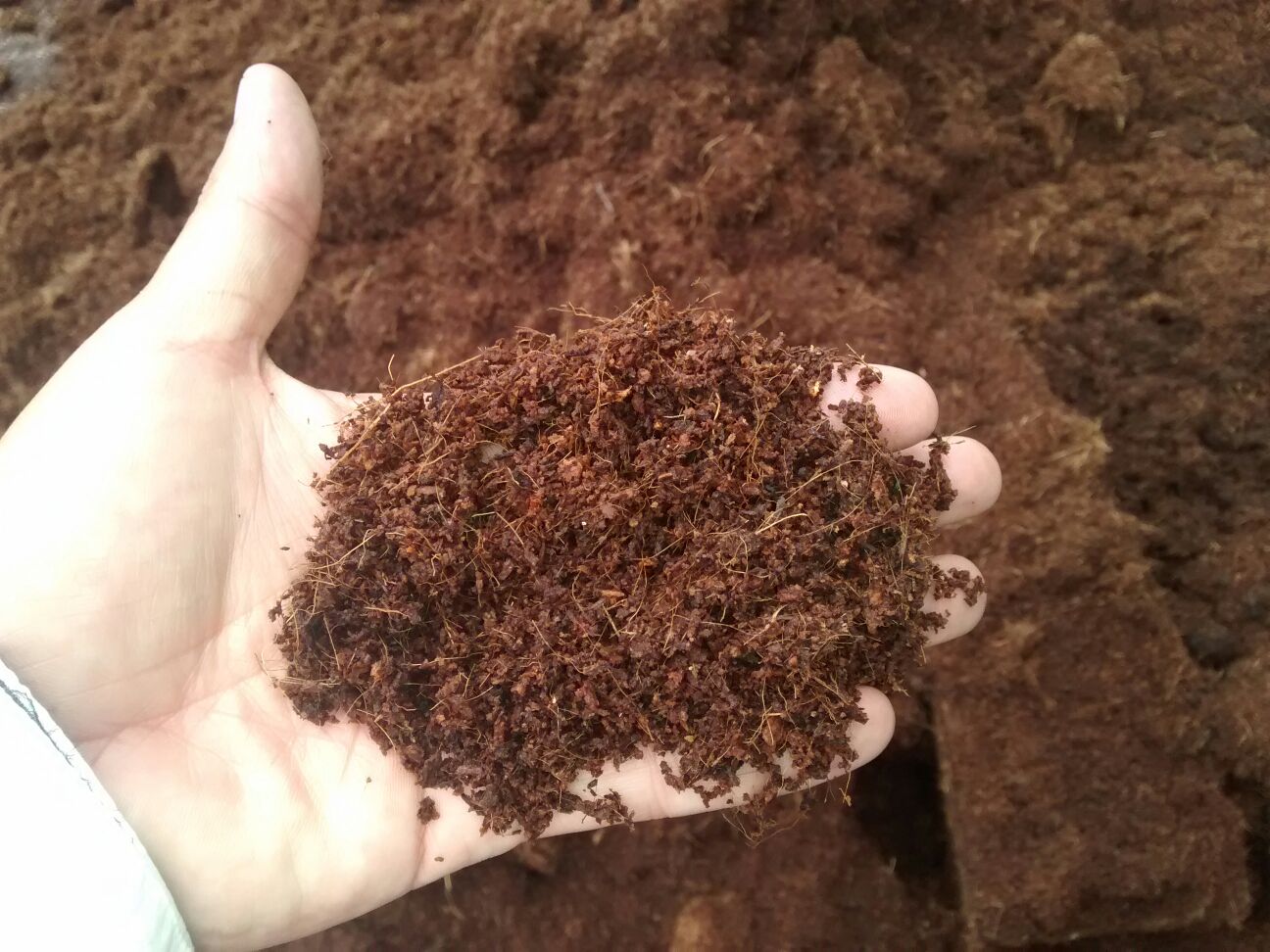 The Facts About Coco Coir