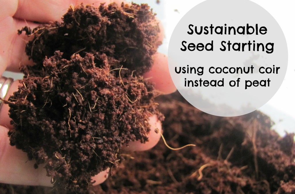 Starting Seeds with Coconut Fiber