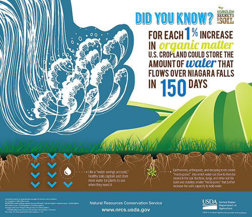 Healthy Soil is ‘Water in the Bank’