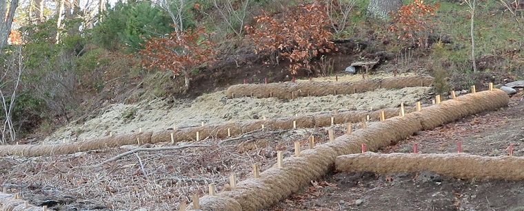 Success! Coir Erosion Control Logs Find Homes in Local Landscapes